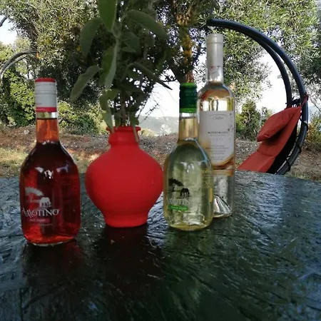 Terraoliva&herbs Kemping Vátosz