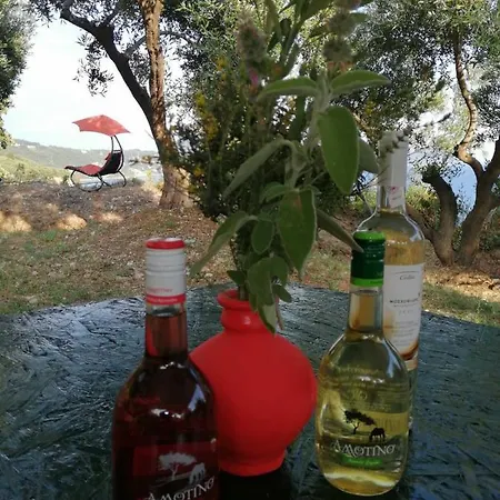 Terraoliva&herbs Kemping Vátosz