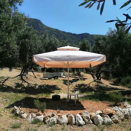 Terraoliva&herbs Campeggio